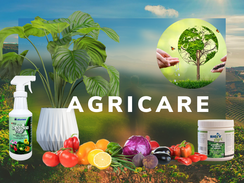 healthy plant with fertilizer