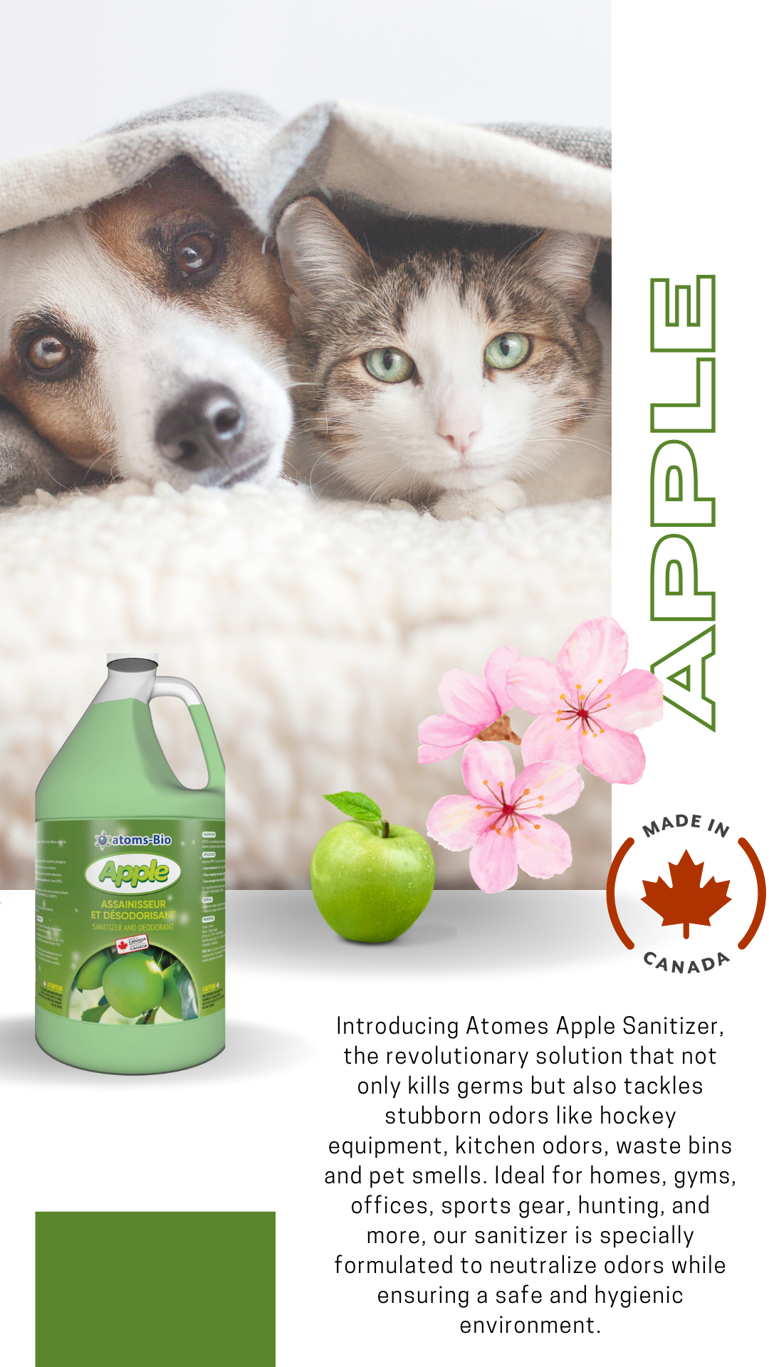 CITRUS - Nettoyant germicide assainissant et déodorant