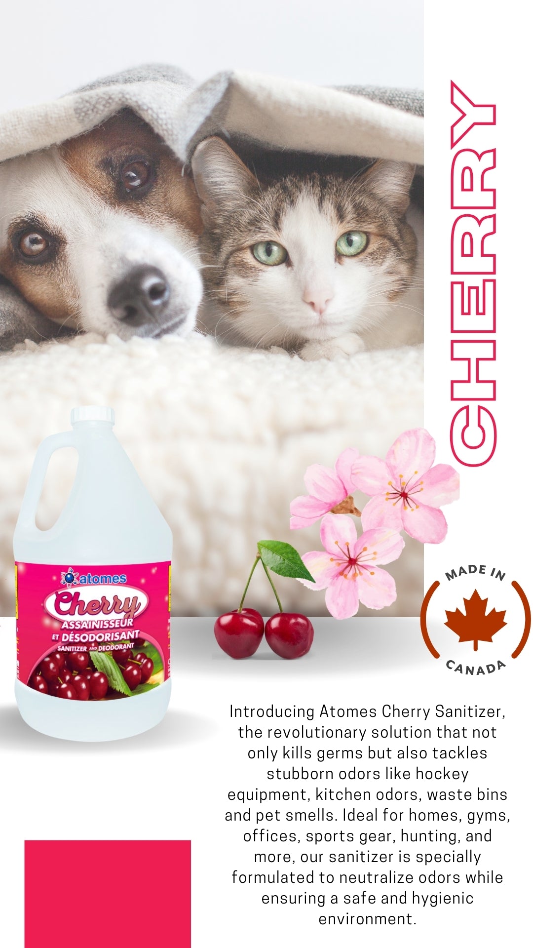 CHERRY - Sanitizer Germicidal Cleaner & Deodorant