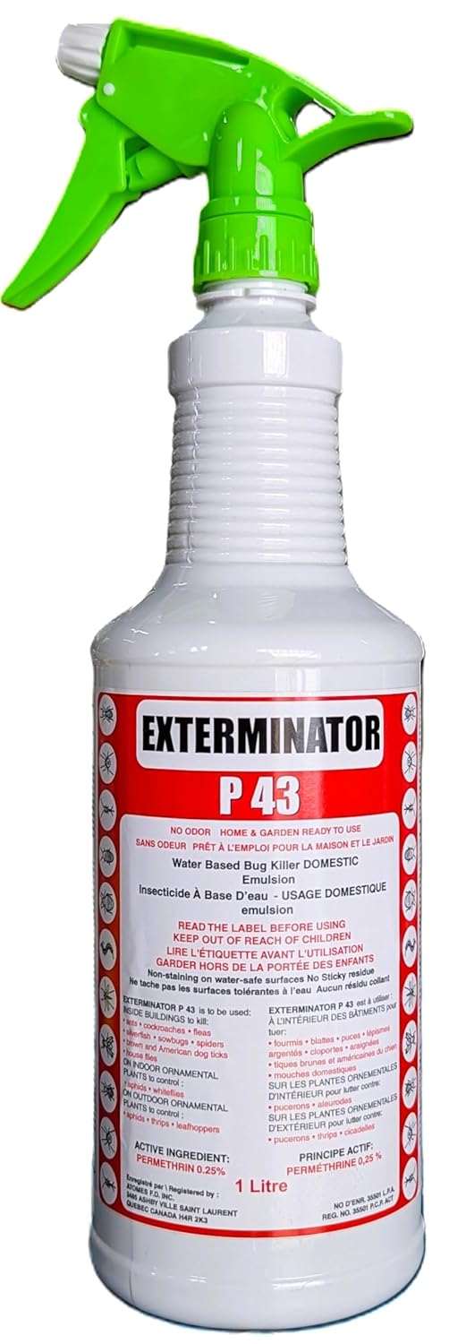 EXTERMINATOR P 43 Domestic Water-Based Bug Killer, Ready-to-Use, 1 L